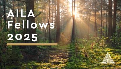 Congratulations 2025 AILA Fellows
